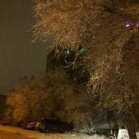 Ольга