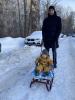 стикер