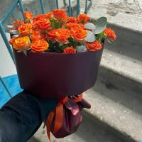 Кактус🌵🌵🌵