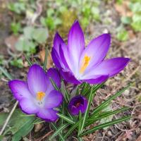 Алёна🌼