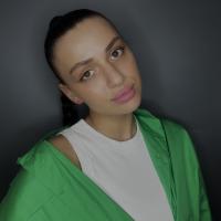 Vlada