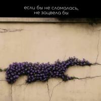 новая анкета