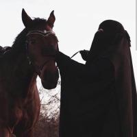 حبيبه