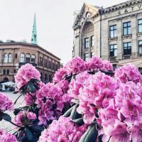 🌸мама Бандита😎