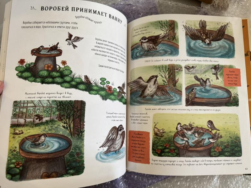 post image 5