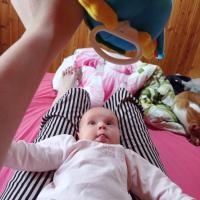 The life assistant