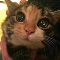 Кристина