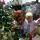 yuliya_alexeeva