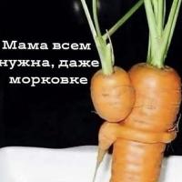 Ника