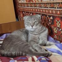 Наталия