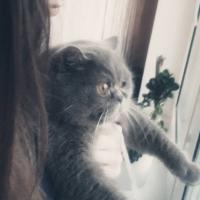Виктория