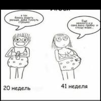 камила