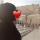 amina_mom_23