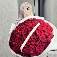 botaasylbek18@gmail.com
