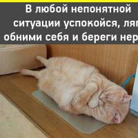 В_M