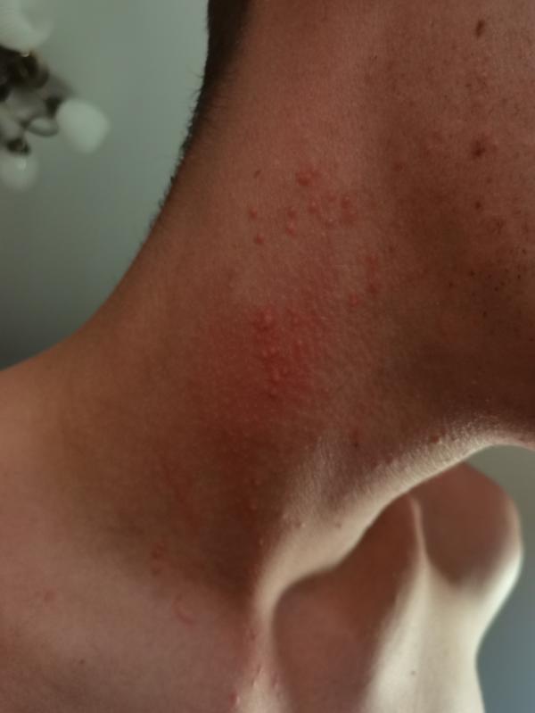 post image 3