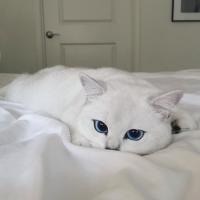Алена