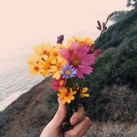 anush)