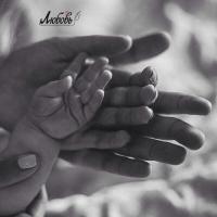 assel_1997