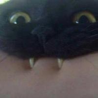 Tttaat