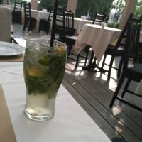 tutta-