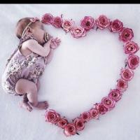 🌹🌹🌹