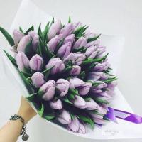 Lau 