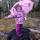 myhamethina76