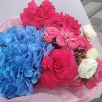 𝙗𝙪𝙢𝙚𝙧𝙖𝙣𝙜 ✈︎