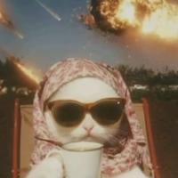 такая ну никакая