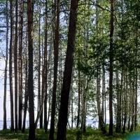 Валентина
