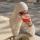 angelina_azamat