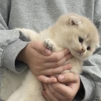 Hey