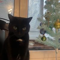 Альбина Нургалиева