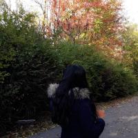 Javaria Sajjad