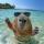hanifa_s