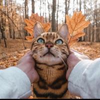 Ольга 