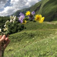 Шахзада🌿