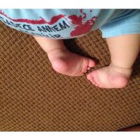 Rayan