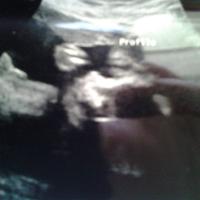 Crista Jester-Hernandez