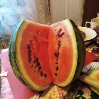 Лана