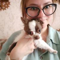 Лилия