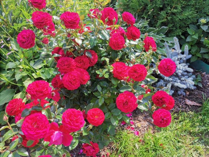 post image 5