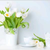 مؤمنة