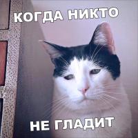 Евгения 