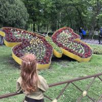Джамиля