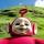 lizapapoypapoy