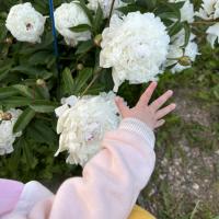 Ирина@