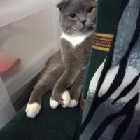 Татьяна 