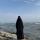 sai_umm